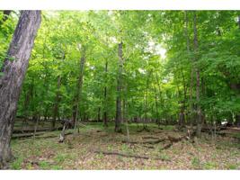 xxx Ginseng Patch Rd