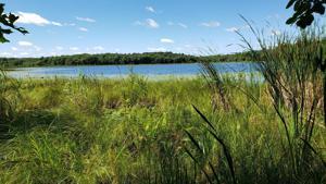 TBD Scenic Road