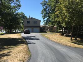 41881 Sugar Maple