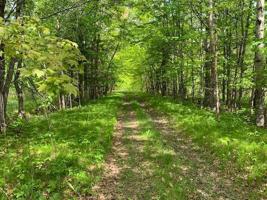 TBD N. Shoal Lake Rd.