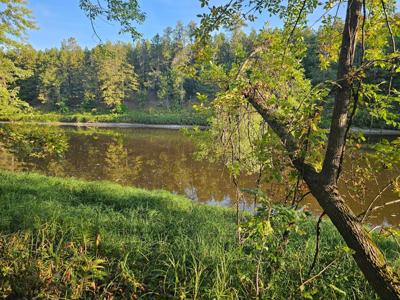 Lot 4 Blk 1, 6 Acres County Road 30