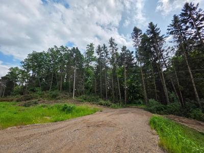 14xxx Dellwood Road N