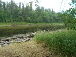 2705 River