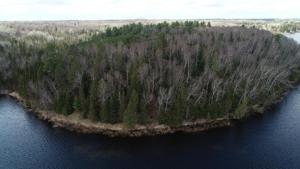 Lot B Gunn Lake