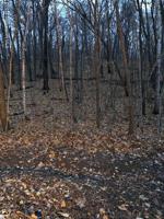 Tbd 449th Street