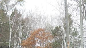 XXX7 Cove Trail