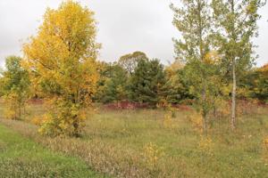 Lot 1 Blk 1 Big Chip NW