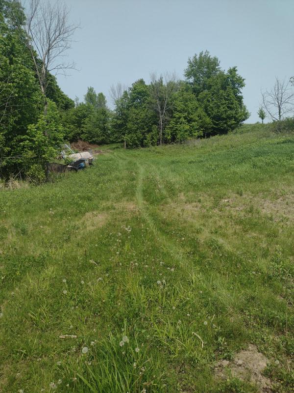 Image 3 Image 3