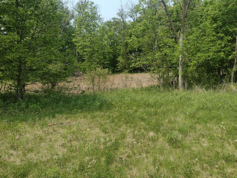 Image 4 Image 4