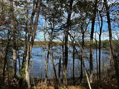 XXXX Lake Hills