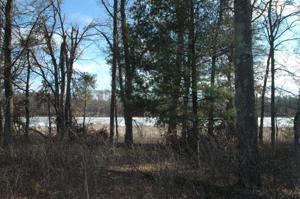 TBD Lot 4 Preserve Circle