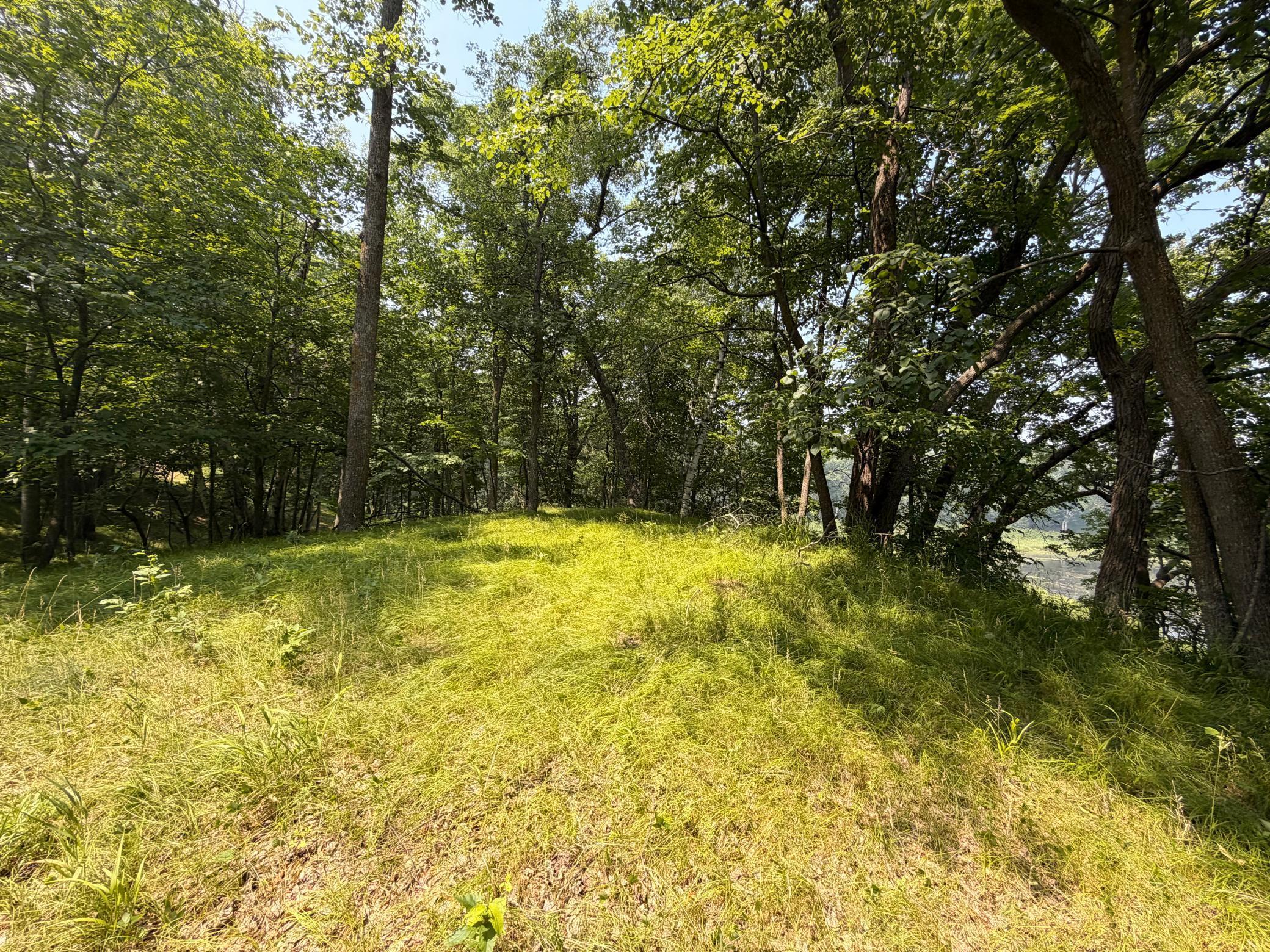 Image 2 Image 2