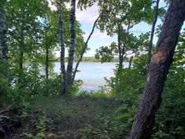 TBD Forest Park Drive