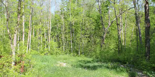 40113 Wadena