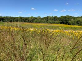 XXXX Johnson Trail