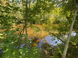 xxx Tamarack River Road