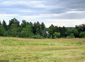 TBD County 39