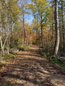999 Porcupine Trail