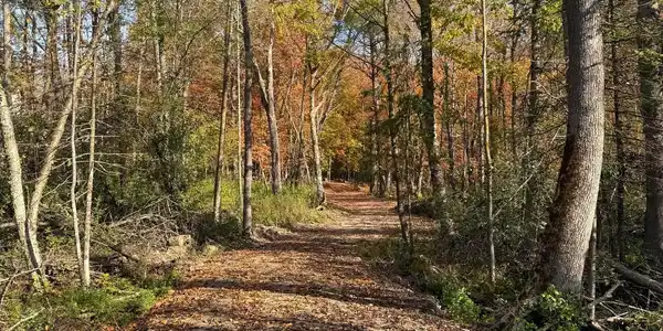 999 Porcupine Trail