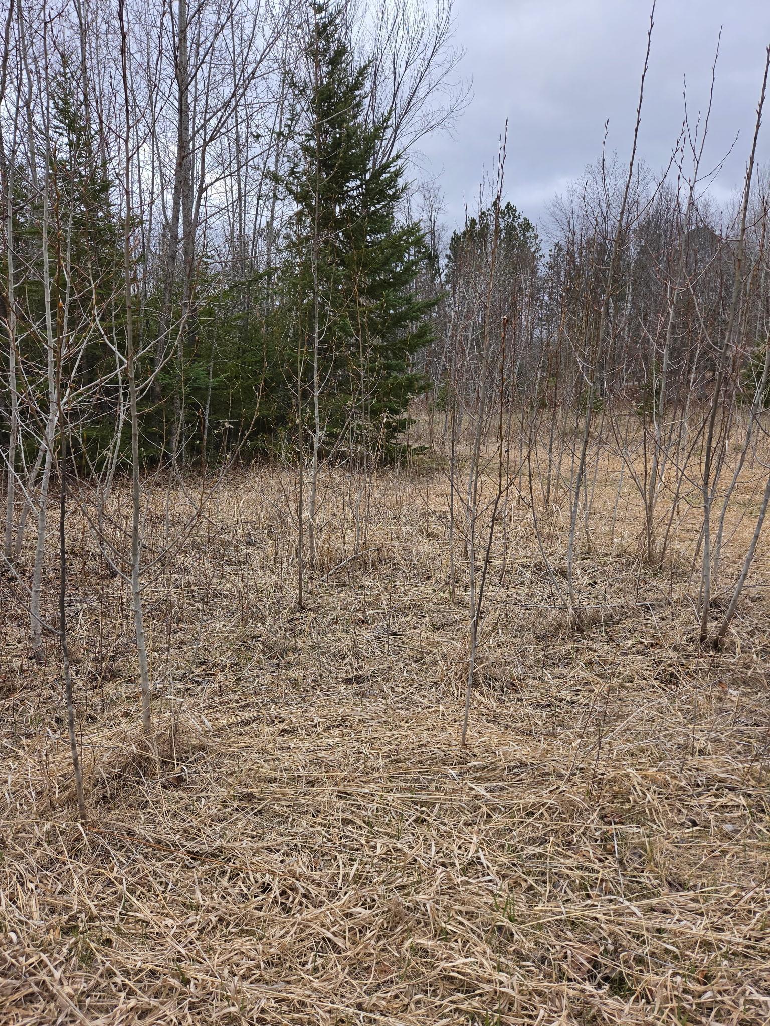 Image 3 Image 3