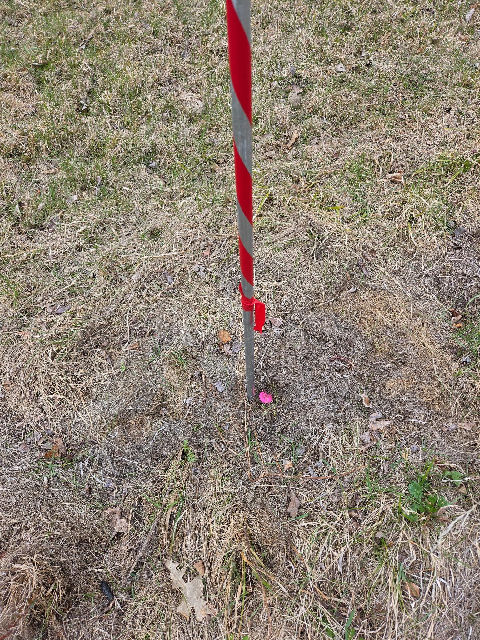 Image 4 Image 4