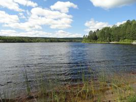 5619 Birchbark Landing
