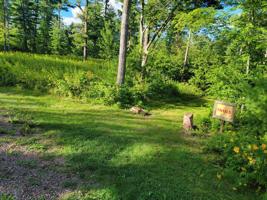 Lot 63 11 1/2