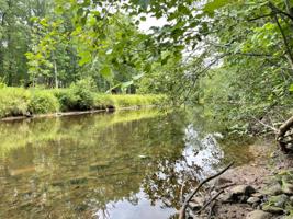65551 River Cabin