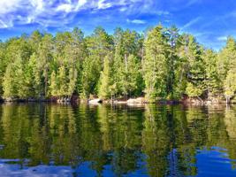 9267 Elbow Lake N
