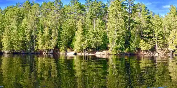 9267 Elbow Lake N