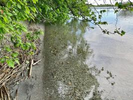 Lot 1, Blk 2 Thompson Beach