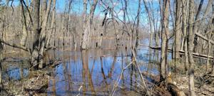 Parcel C 6.4 Acres County Road 30