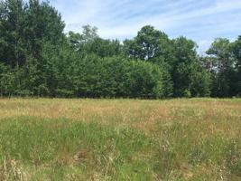 Lot 5 Hudson
