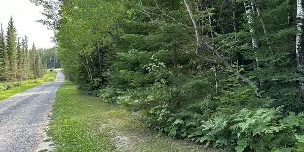 TBD-2 Tomahawk Lane