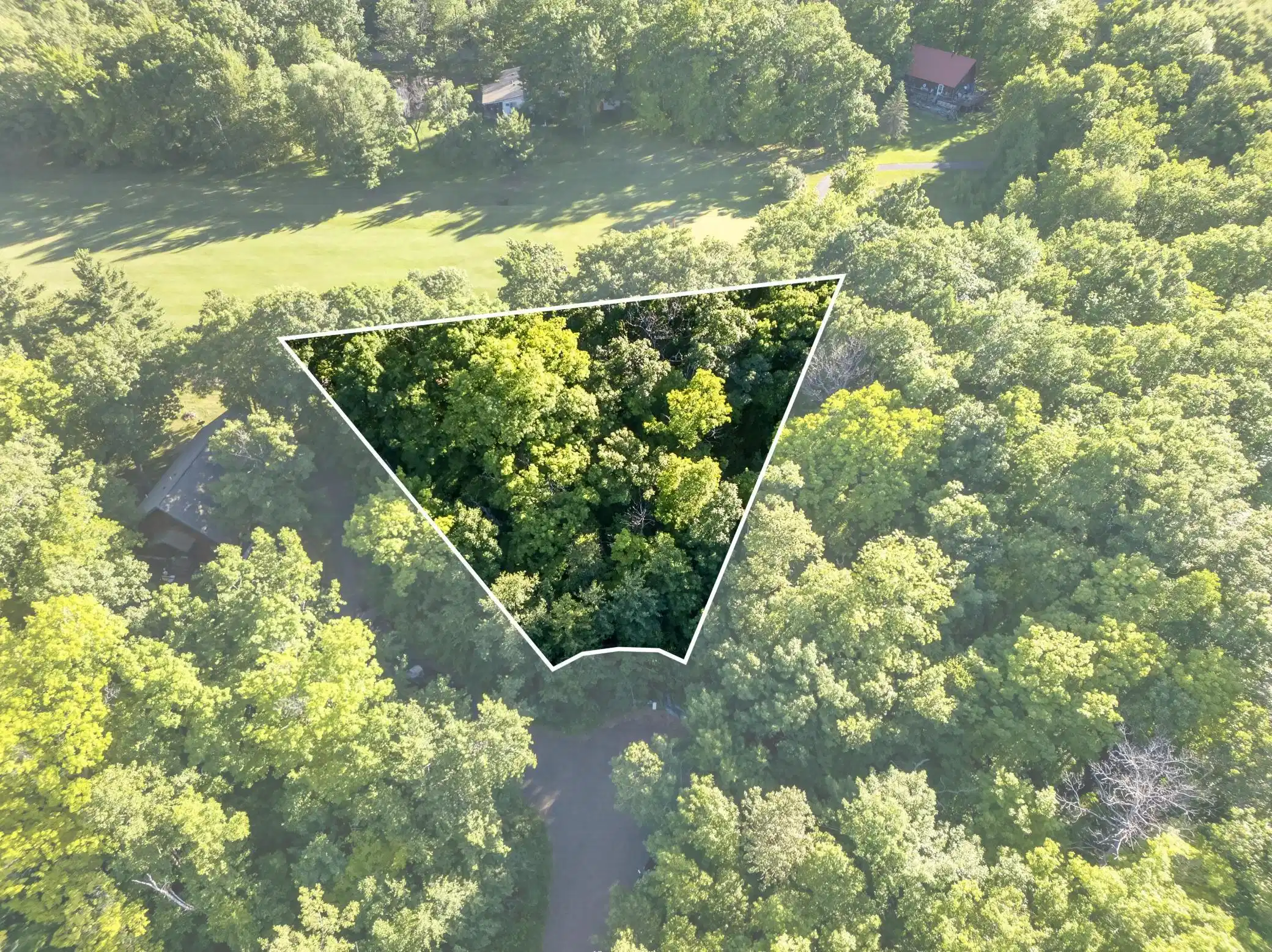 Image 1 Image 1