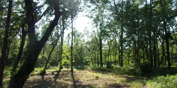 Lot 1 North Lake