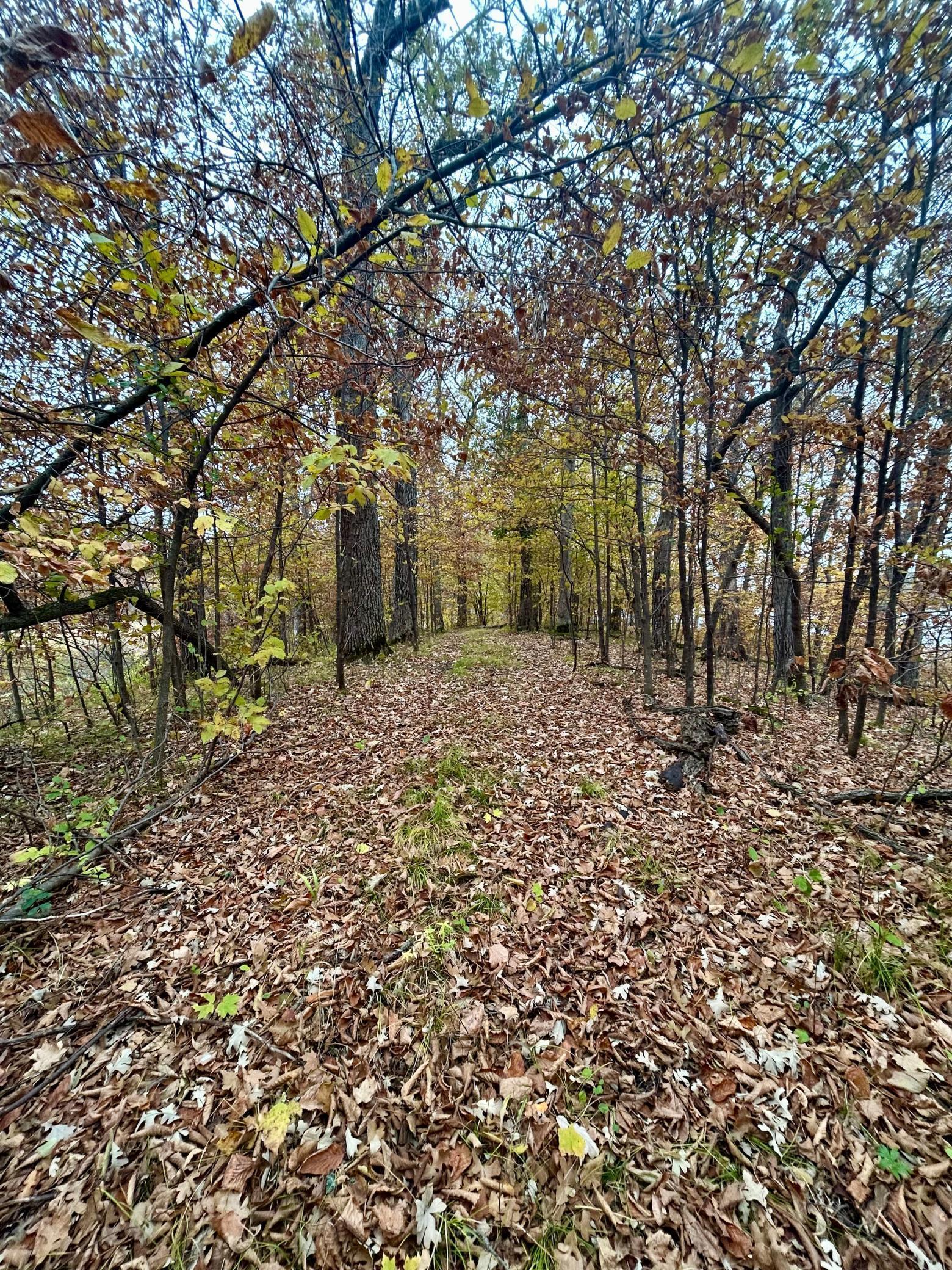 Image 3 Image 3