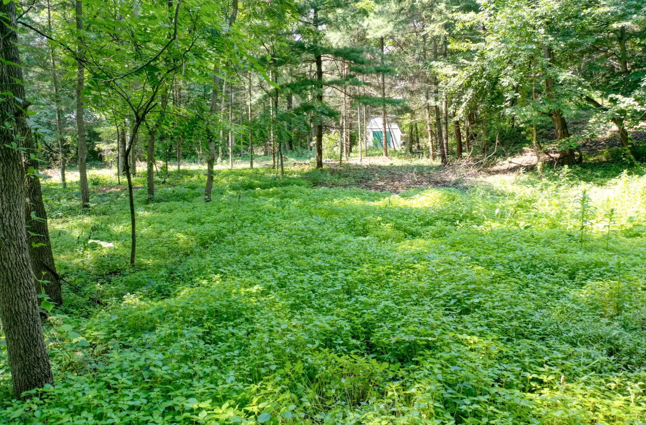 Image 1 Image 1