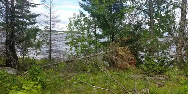 1989 County Road 133