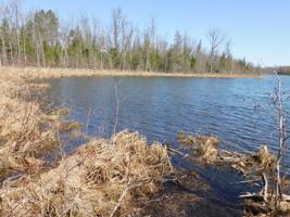 Lot A County 5