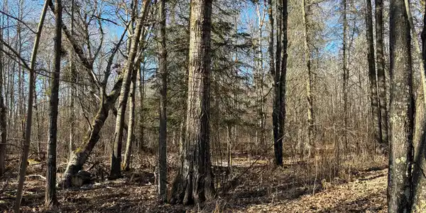 000 Great River Road