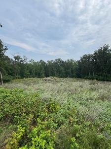 TBD N Fox Lake Lane