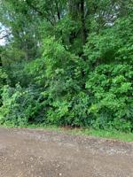 Lot 5 199th W