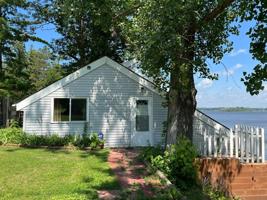 15638 Linden Tree