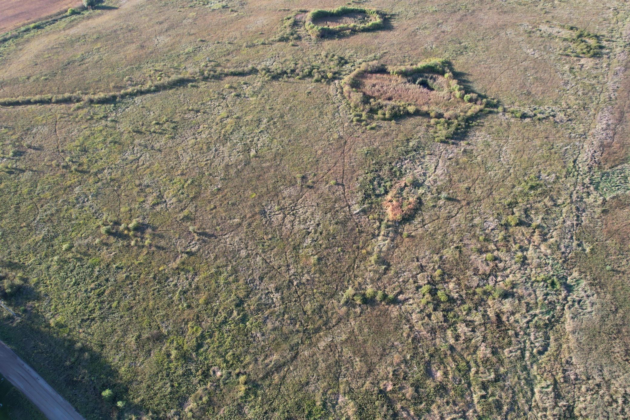 Image 3 Image 3