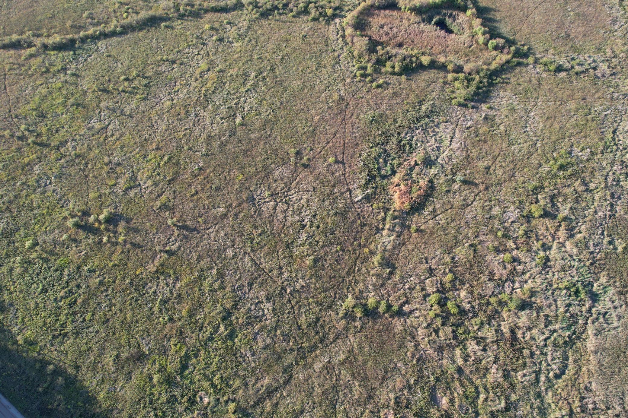 Image 4 Image 4