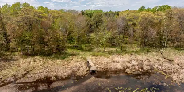 Image 4 Image 4