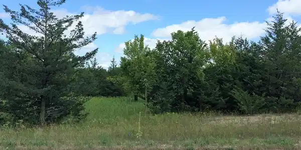 Lot 5 Co Rd 9