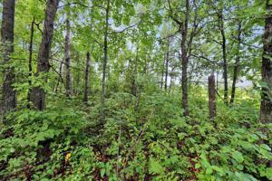 TBD Roundview Road
