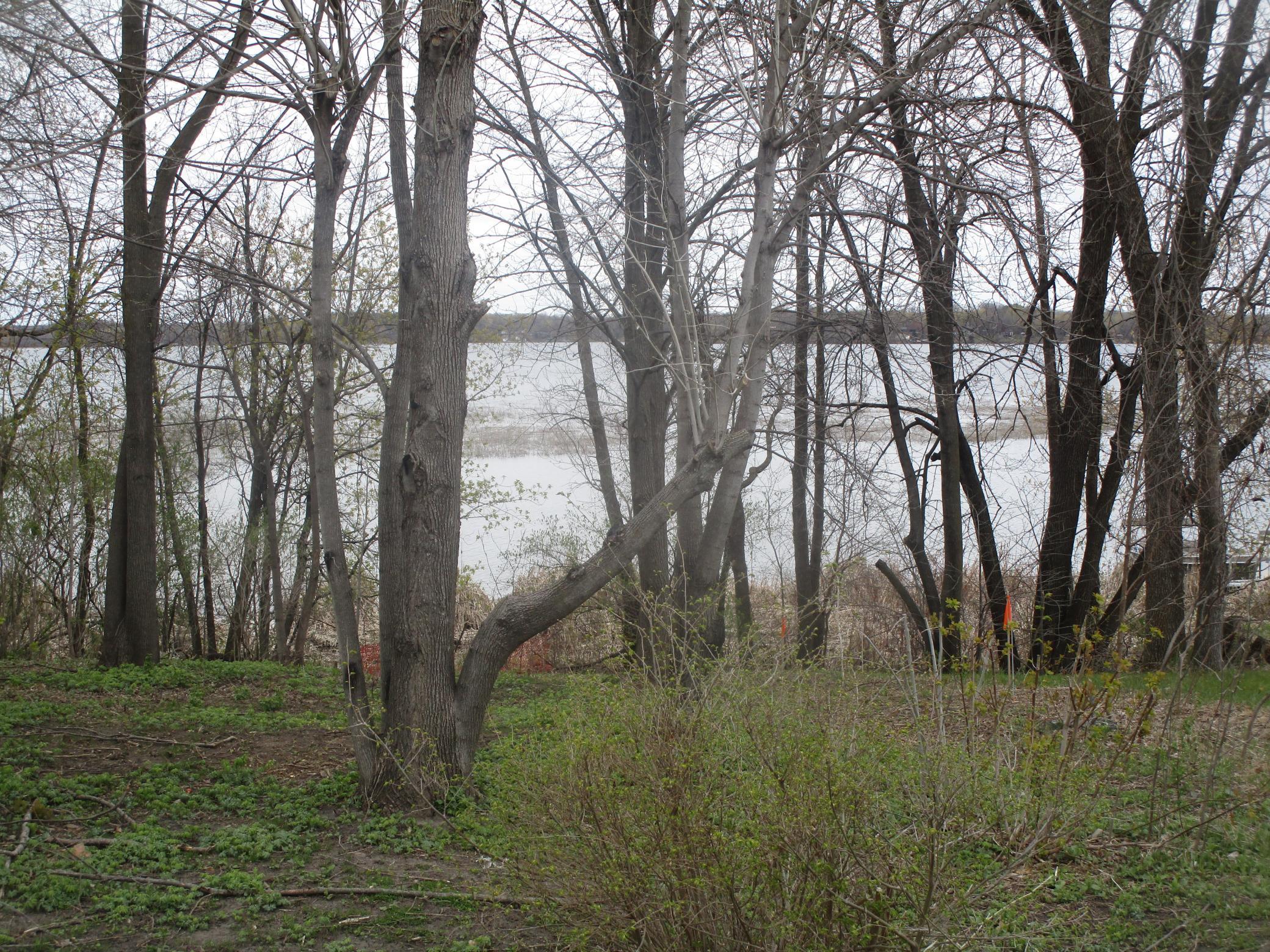 Image 2 Image 2